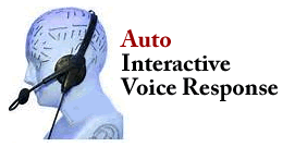 voice_response